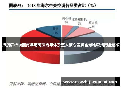 深度解析埃因青年与阿贾青年体系五大核心差异全景比较指南全篇版